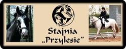 Przylesie. Stajnia