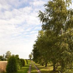 Agroturystyka SŁONECZNY DOMEK