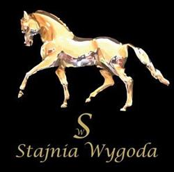 Stajnia Wygoda