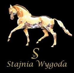 Stajnia Wygoda