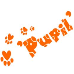 Salon pielęgnacji zwierząt "Pupil"