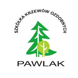 "Pawlak" Szkółka Krzewów Ozdobnych Mariusz Pawlak