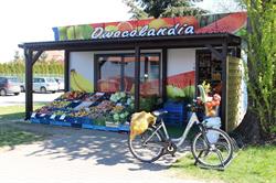 Owocolandia