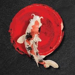 Hikari Koi Sushi
