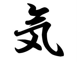 Klub Kyokushin-kan Karate-do w Chełmie