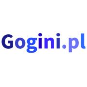 "Gogini.pl" Usługi Internetowe