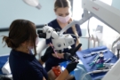 Leczenie kanałowe Dental Cover