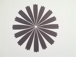 Cykoria