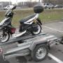 przyczepka do przewozu motocykli i quadów