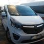 VIVARO