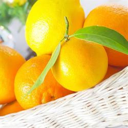FHU Market Adam Cichuta Sklep Żabka