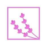 Lavenders Salon Urody