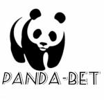 Pandabet Producent palisad obrzeży betonowych