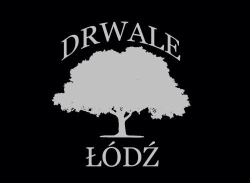 Drwale Łódź - Wycinka Drzew Metodą Alpinistyczną i Tradycyjną
