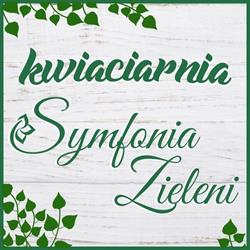 Symfonia Zieleni Anna Knap