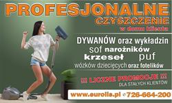 "EUROLIS" PROFESJONALNE USŁUGI CZYSTOŚCIOWO-PORZĄDKOWE