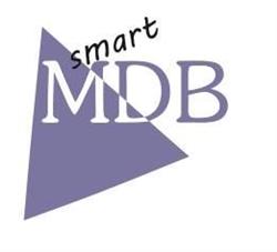Smart-MDB Przedsiębiorstwo usługowe