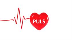 Lecznica Lekarzy Specjalistów PULS