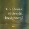 Obniza-zdolnosc-kredytowa