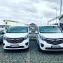 vivaro