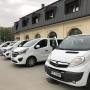 vivaro