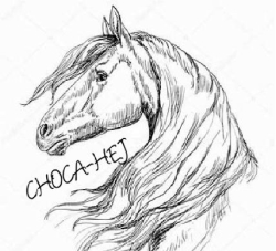 CHOCA-HEJ Sara Pocałuńska
