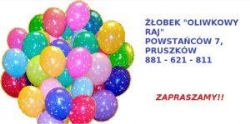 Oliwkowy raj Żłobek