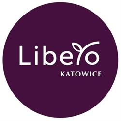 Lodowisko sezonowe LIBERO Katowice