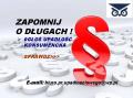 JAK SYNDYK POSZUKUJE MAJĄTKU UPADŁEGO