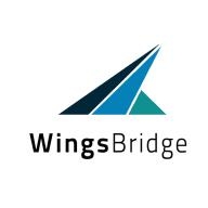 WingsBridge Tworzenie Stron www