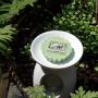 Olive&Thyme wosk zapachowy Yankee Candle |candleroom.pl