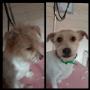 IMG_2019-09-16_22-34-06.JPG