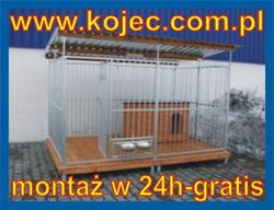 kojce dla psa
