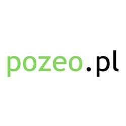 POZEO - Pozycjonowanie stron www - Kampanie Google ADS Łódź