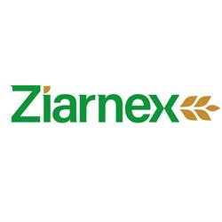ZIARNEX spółka z ograniczoną odpowiedzialnością sp. k.