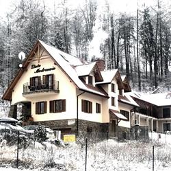 Złote Modrzewie, Apartamenty, Pokoje