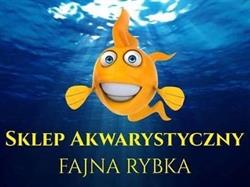 Fajna Rybka