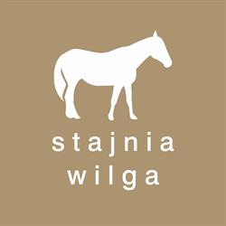 Stajnia Wilga - jazdy konne, wycieczki, obozy jeździeckie