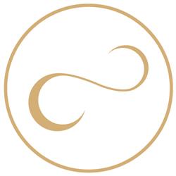 TMT Investments S.A.