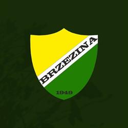 Ludowy Klub Sportowy BRZEZINA OSIEK