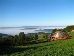 Rancho Overo