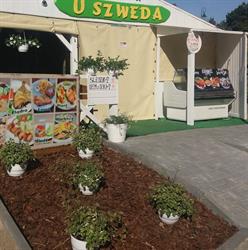 Bar u Szweda
