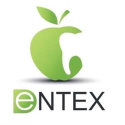 Dentex Ewa Jędrzejczyk