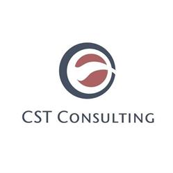 CST Consulting