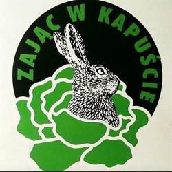 Zając w Kapuście