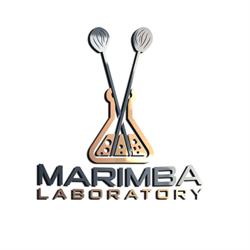 Szkoła Perkusji Marimba Laboratory Kraków
