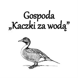 Gospoda Kaczki za wodą