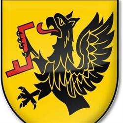 Gmina Studzienice