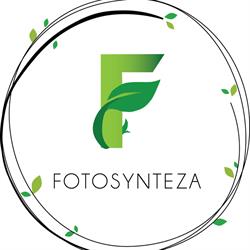 Fotosynteza
