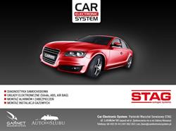 Car Electronic System